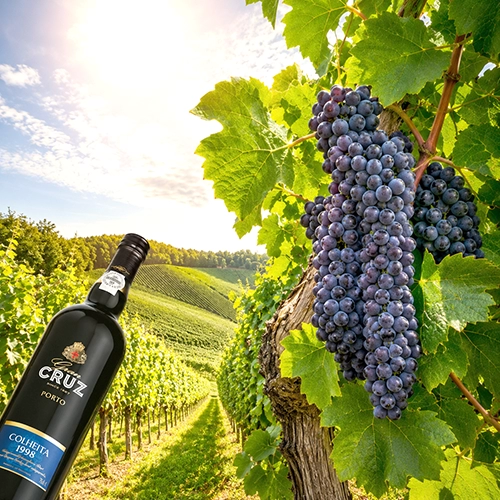 TOURIGA NACIONAL